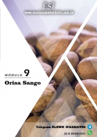 9MÓDULO ORISA SANGO (2).pdf